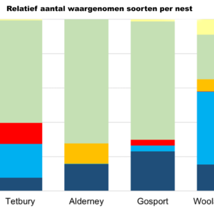 prooien-aziatische-hoornaar-uk