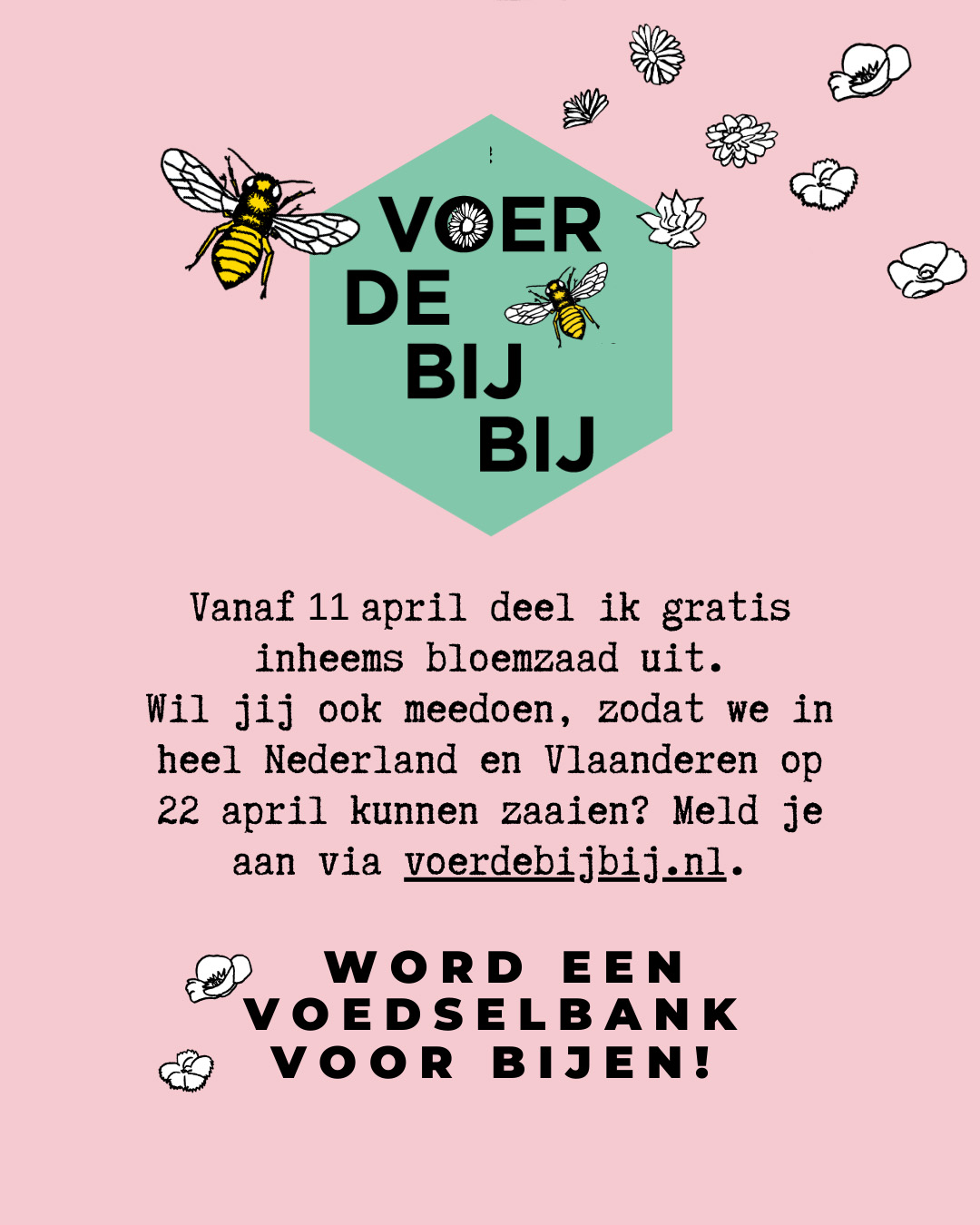 Word nog snel een voedselbank voor bijen!