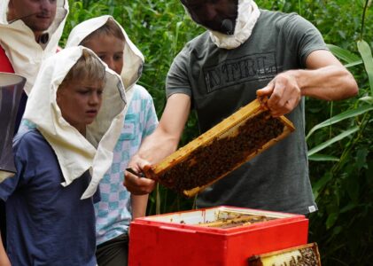 Laat je kinderen kennis maken met bijen